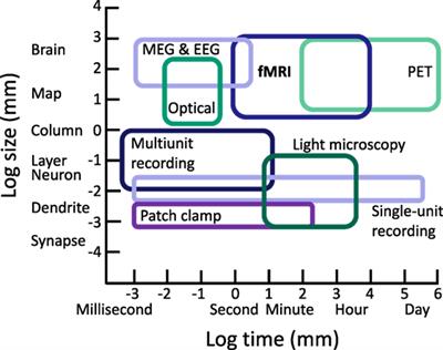 Functional Neuroimaging in Traumatic Brain Injury: From Nodes to Networks